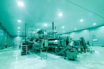 Stainless-steel processing lines on the floor of QL’s plant at Endau.