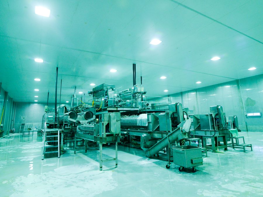 Stainless-steel processing lines on the floor of QL’s plant at Endau.